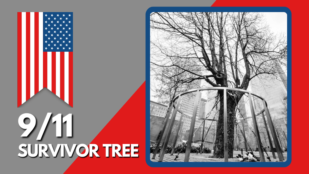 9/11 Survivor Tree Header