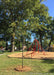 A newly planted Kentucky Coffee Tree in the fall just beginning to lose its leaves, planted at a local downtown park to provide shade to a nearby playground area.